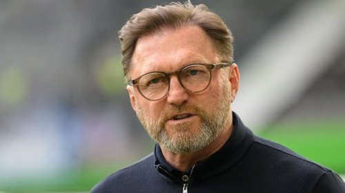 Die VfL-Wolfsburg-Meinung: Spannende Gerüchte