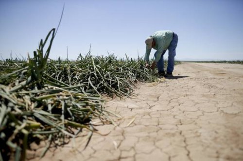 Extreme Dürre nach nassen Monaten bundesweit vorbei