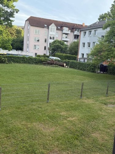Tödlicher Unfall in Göttingen: 38-jähriger Mann stirbt beim Baumfällen