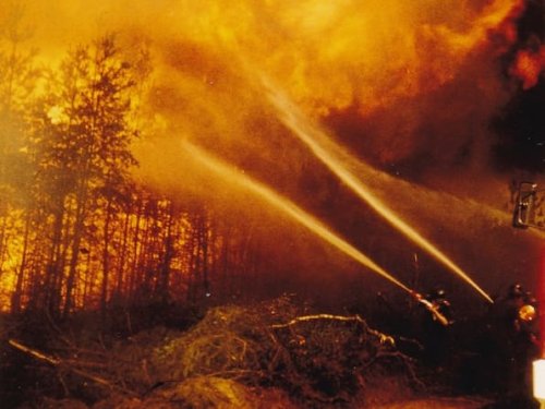 Waldbrandgefahr in Wolfsburg: Das gilt es zu beachten