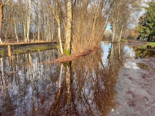 Neudorf-Platendorf: Es geht um Hühner und das Hochwasser