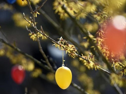 Wetter in Gifhorn: Flaute adé? Eindeutiger Trend zu Ostern