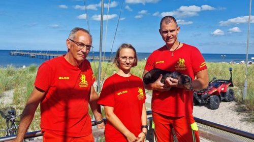 Rettungsschwimmer schildern dramatische Einsätze an der Ostsee