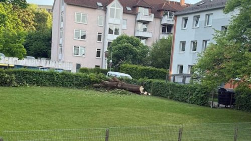 Leineberg in Göttingen: 38-Jähriger stirbt bei Arbeitsunfall