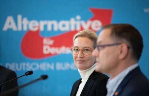 Wer den Populismus der AfD übernimmt, macht sie stark