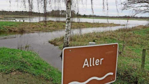 Gifhorn-Allenbüttel: Hochwasserschutz-Projekt vom Land gefördert