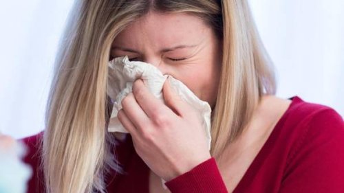 Heuschnupfen-Allergie - was hilft und wie entstehen Pollenallergien?