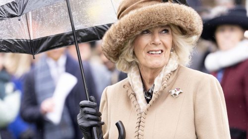 Camillas langer Weg: von der gehassten Ehebrecherin zum Vorbild-Royal