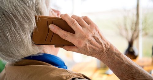 Kreis Gifhorn: 63-Jährige am Telefon betrogen - 700 Euro weg