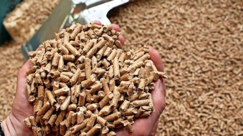 Zuschuss für Haushalte: So sehen die Härtefallhilfen für Heizöl und Pellets aus