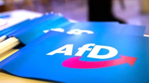 Bitkom warnt vor AfD: Programm beschädigt deutsche Digitalwirtschaft