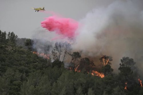 Israel: Heftige Waldbrände rund um Jerusalem – zwölf Verletzte