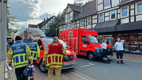 Burgdorf: Läufer von Insekten angegriffen - drei Schwerverletzte