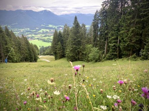Bayern: Die Geheimnisse der Natur im Tölzer Land