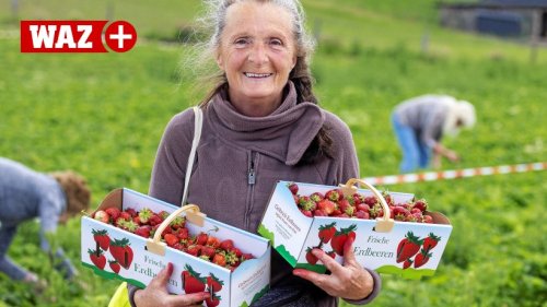 Erdbeeren und Himbeeren aus Sprockhövel: Wo es teurer wird