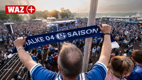 Schalke und Co: Wie wichtig sind Fußballclubs im Ruhrgebiet?