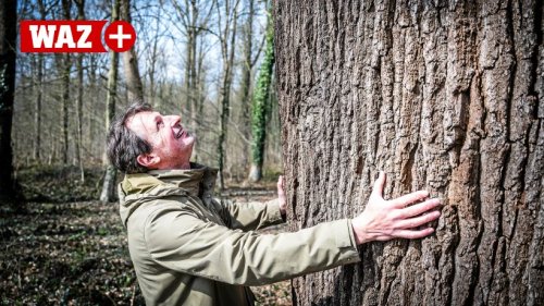 Sonsbecker schreibt Buch über die stärksten Bäume in NRW