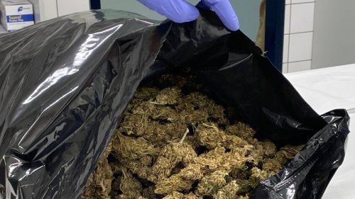 Kiloweise Kokain und Marihuana in Essener Wohnung entdeckt