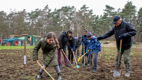 Bottroper Schüler setzen Bäumchen in die Kirchheller Heide