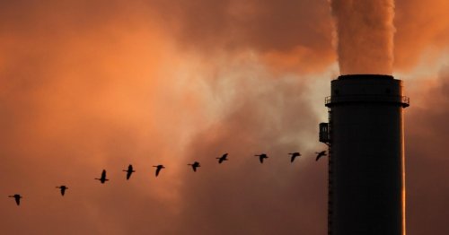 WBEZ’s Rundown Of Today’s Top News: The Fight Over Green Energy In Illinois