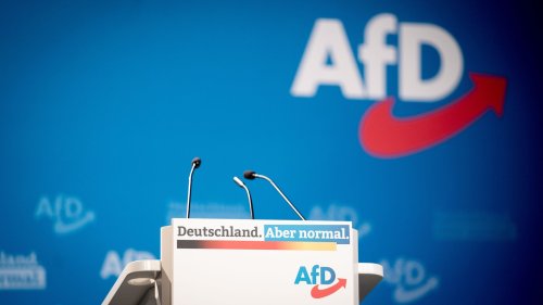 AfD-Landesvize Schild tritt zurück