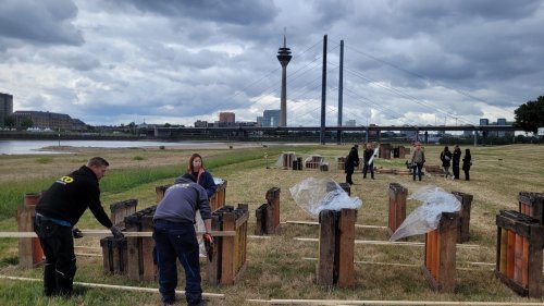 Japantag in Düsseldorf: Vorbereitet auf ein großes Fest