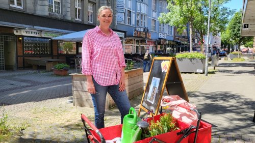 Mehr Blumenpracht für Wattenscheid: Bochumer Stadtteil wirbt um Beetpaten