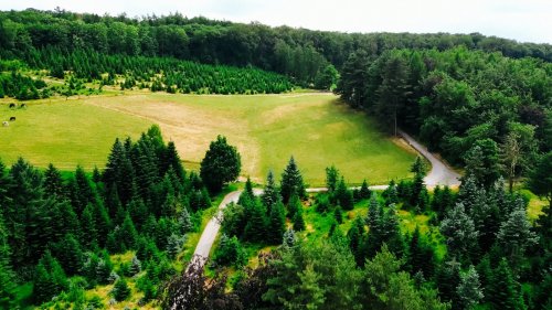 Gerettet: Verirrter Mann in Hattinger Wald schickte Foto an Verwandte