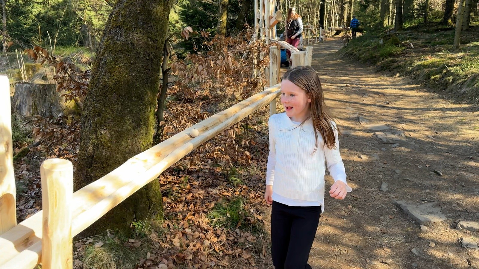 Neue 70 Meter lange Kugelbahn im Wald von Wildewiese