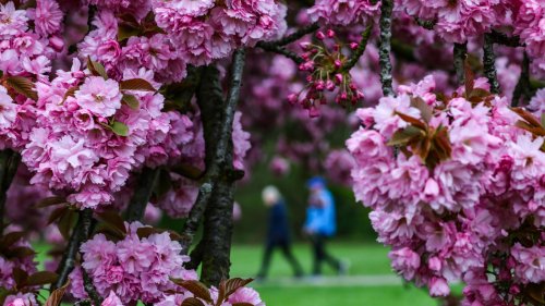 Ostersonntag: In Teilen von NRW drohen Gewitter und Starkregen