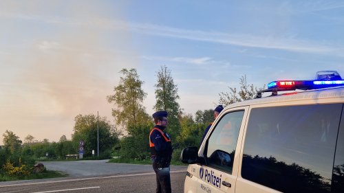 Feuer im Hohen Venn: 170 Hektar Gras im Hochmoor verbrannt