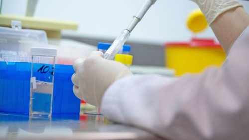 Schülerin an Bonner Gymnasium an Tuberkulose erkrankt