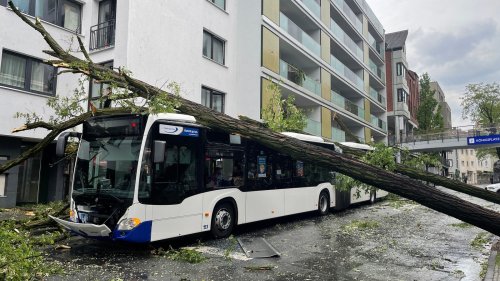 Tornado verwüstet Straßenzüge in Paderborn: Anwohner sind geschockt