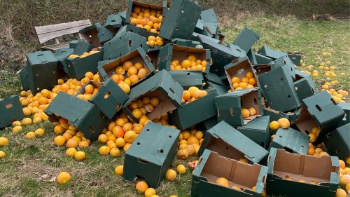 Tausende Orangen in Mönchengladbach illegal entsorgt