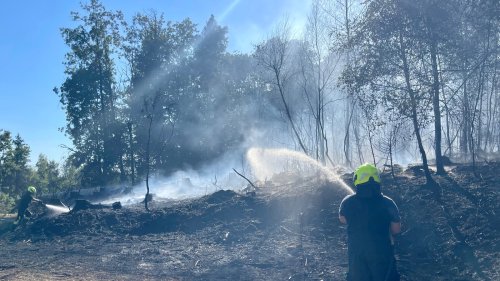 Mehr als 200 Feuerwehrleute bekämpfen Waldbrand in Windeck