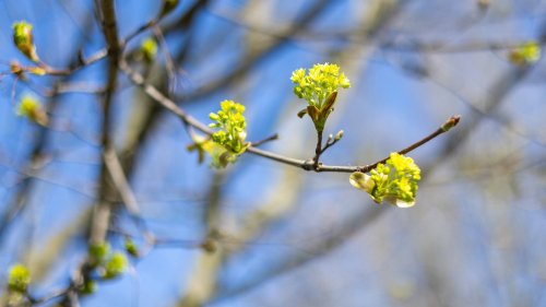 Liegen bleiben: Wandel