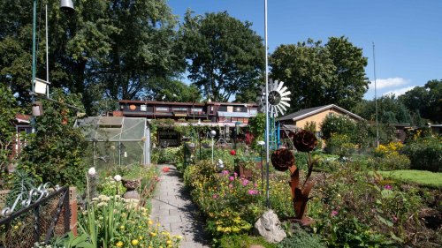 Kleingarten-Boom: Junge Familien sorgen für Generationenwechsel