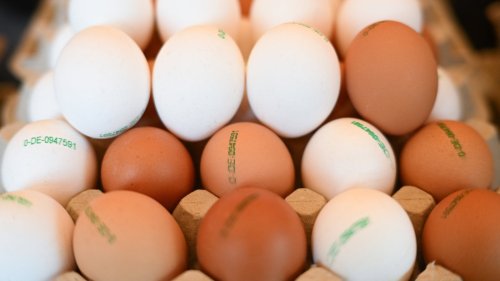 USA auf Eiersuche in Europa - So sind die Erfolgsaussichten