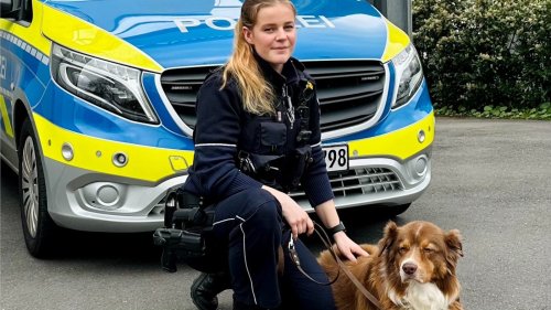 Nach tragischem Verlust findet "Gery" ein neues Zuhause