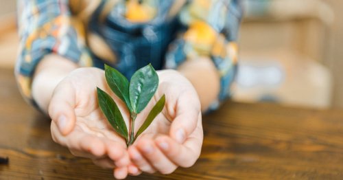 Le regole per dirsi green