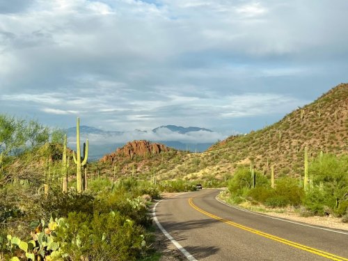 Desert Delights: 27 Fun Things to do in Tucson, Arizona
