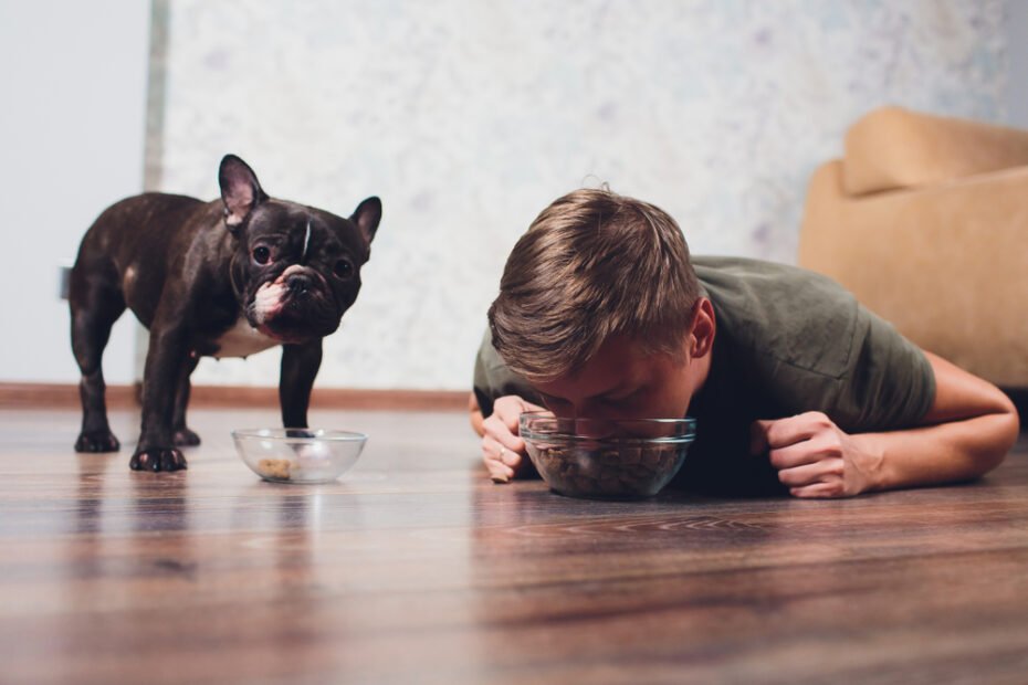 How To Make Money Eating Dog Food… Seriously