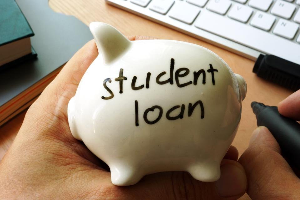 What is An Income-Based Repayment Loans for Students? - Wealth Gang