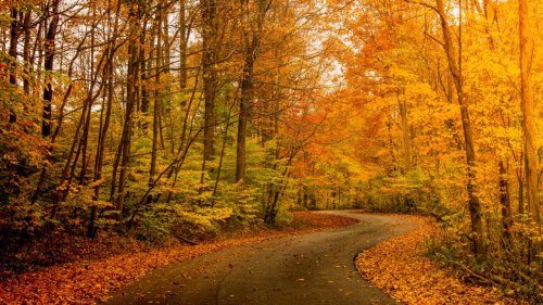 Best Places for Fall Leaves in The US