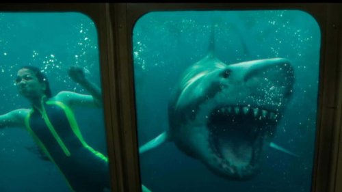 15 Shark-Infested Movies That Will Leave You Swimming in Regret | Flipboard