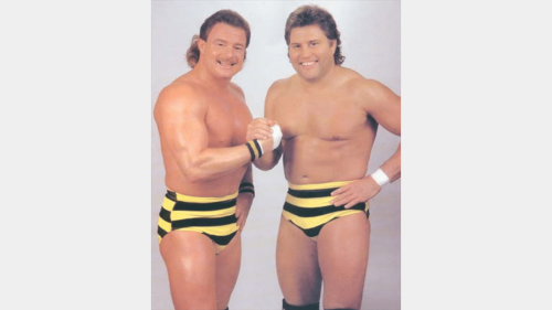 The Best Wrestling Tag Teams of The 1980s