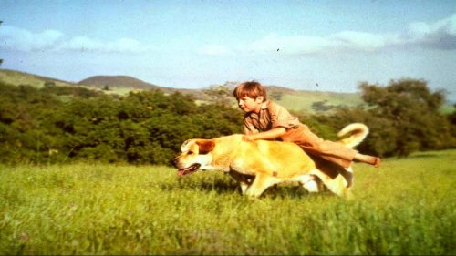 Childhood Terrors: 15 Classic Movies That Traumatized Us as Kids