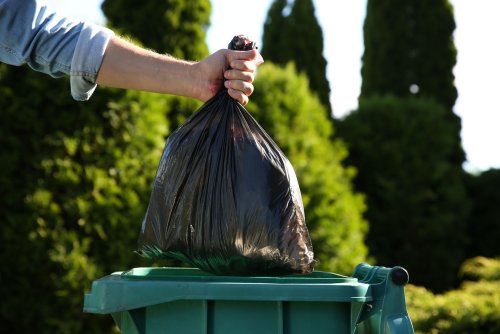 Eco Guilt Hits Most Americans Often