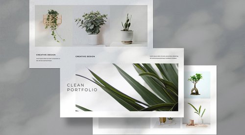 Clean Portfolio Template for Adobe InDesign