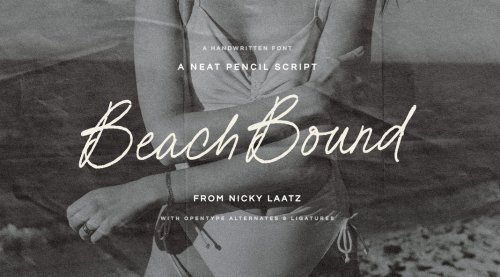 Beach Bound Script Font by Nicky Laatz